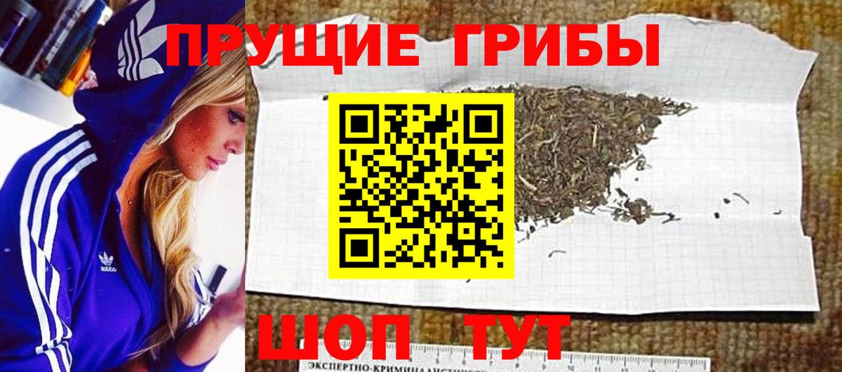 Рубцовск  Галлюциногенные грибы Psilocybine cubensis  Вход с VPN 